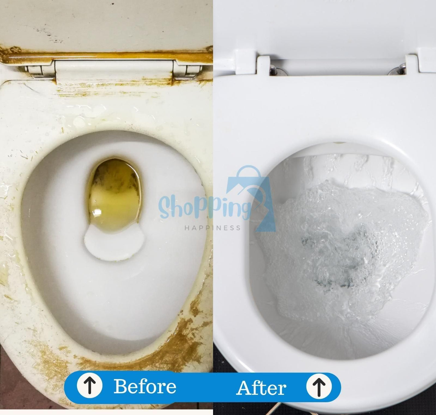 Toilet Cleaning Agent 100 gm