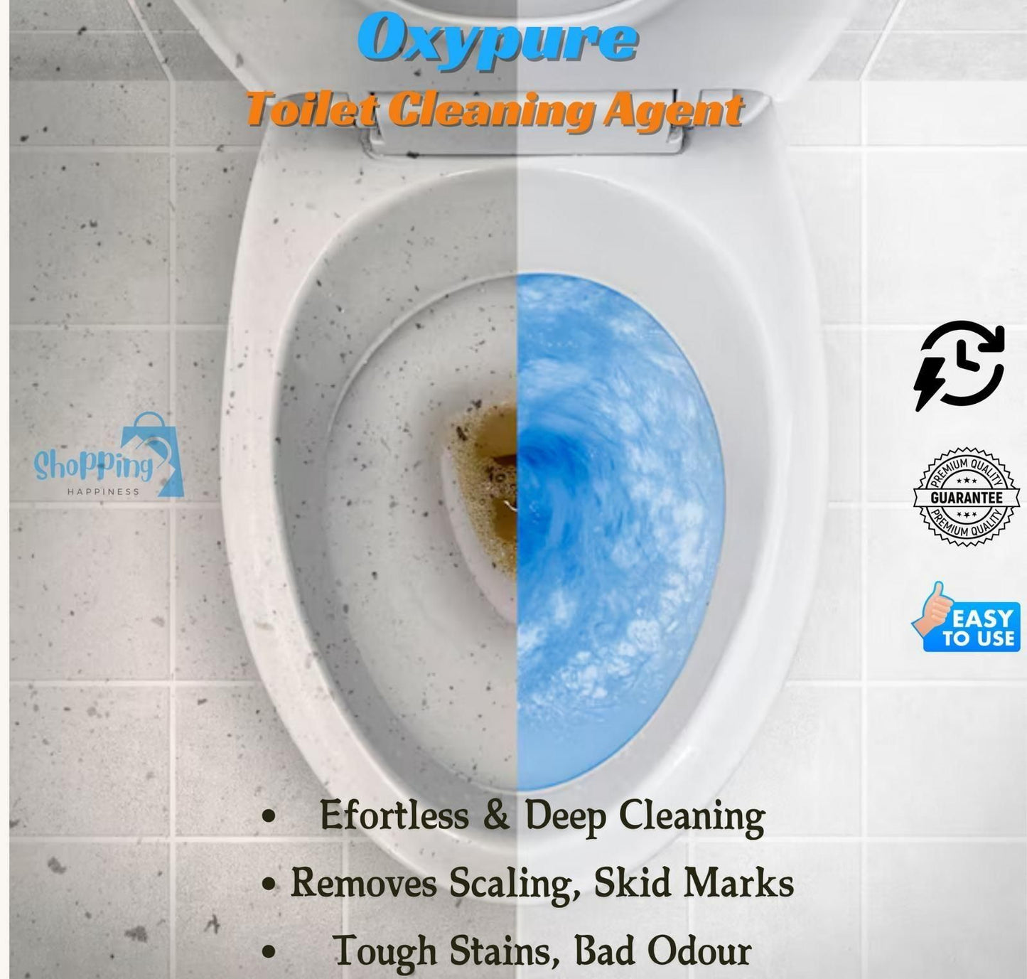Toilet Cleaning Agent 100 gm